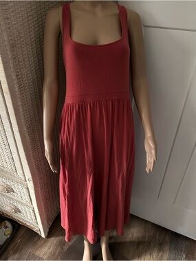 Aritzia Wilfred Market Dress